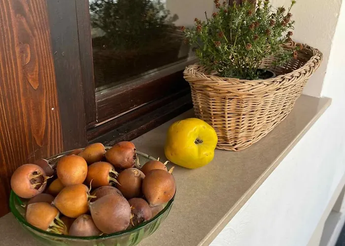 Garaboly Birtok Vendeghazak *